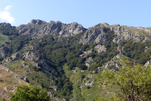 ardeche31