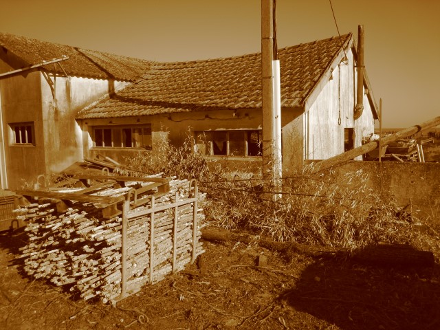 phototrek19