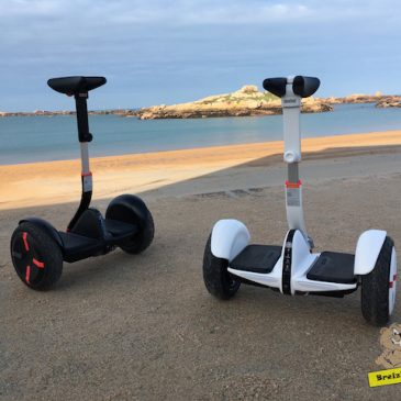 Ninebot Mini Pro